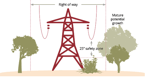 Utility Vegetation Management